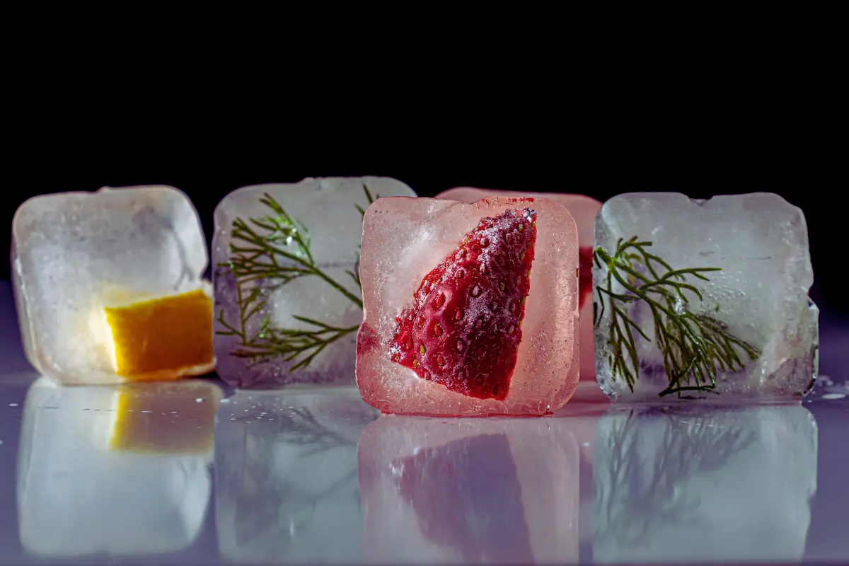 Festive winter ice cubes with cranberries and rosemary.